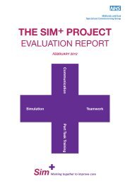 THE SIM+ PROJECT - Laerdal