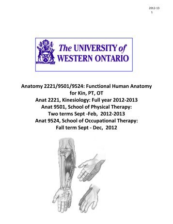 Anatomy 2221 - University of Western Ontario