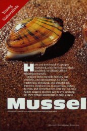 1004 Mussel Bound in Minnesota - webapps8 - Minnesota ...