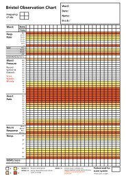 Bristol Observation Chart - Day in the Life