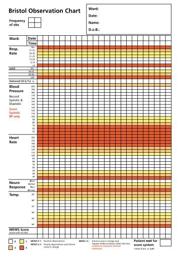 Bristol Observation Chart - Day in the Life