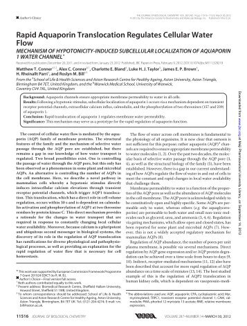 Rapid Aquaporin Translocation Regulates Cellular Water Flow