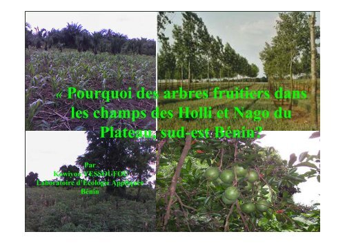 Pourquoi des arbres fruitiers dans les champs des Holli et Nago du ...