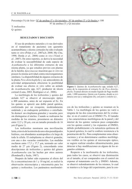 (Eh) y metanÃ³lico (Em) de Pera distichophylla sobre un aislado de ...