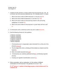 Problem Set 1A Due August 31 1. A diploid somatic cell from a rat ...