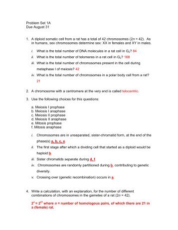 Problem Set 1A Due August 31 1. A diploid somatic cell from a rat ...