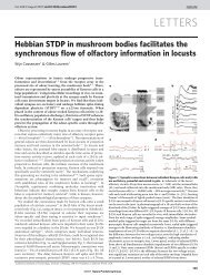 Cassenaer & Laurent. (2007), Hebbian STDP in ... - Caltech