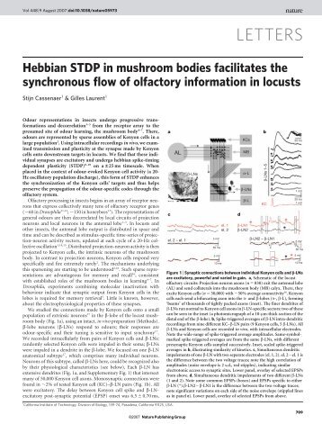 Cassenaer & Laurent. (2007), Hebbian STDP in ... - Caltech