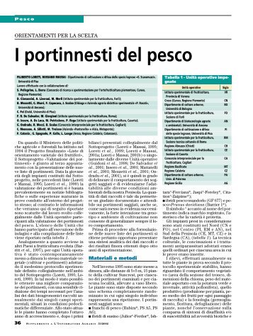 I portinnesti del pesco - InfoKeeper