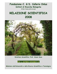RELAZIONE SCIENTIFICA 2008