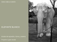 Patxi. Elefante blanco