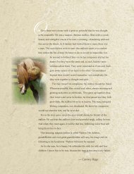 Download the entire story - Arabian Horse Source