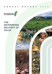 Download Annual Report 2008 - Foskor