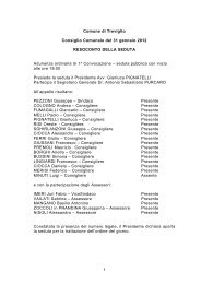 Resoconto Seduta Consiliare 31 gennaio 2012 - Comune di Treviglio