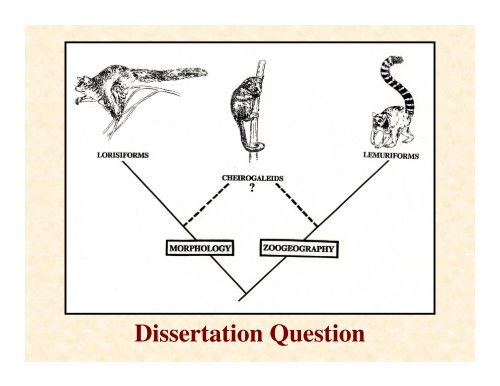 presentation, part 1 - Molecular Evolution