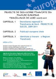 Proiecte de dezvoltare in Transilvania de Nord 2011 - Europe Direct ...