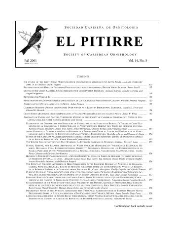 el pitirre - Society for the Conservation and Study of Caribbean Birds