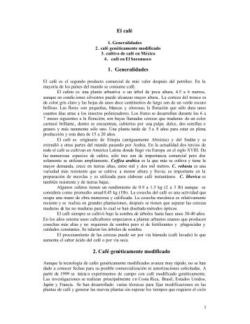 El cafÃ© 1. Generalidades 2. CafÃ© genÃ©ticamente modificado - Cimat