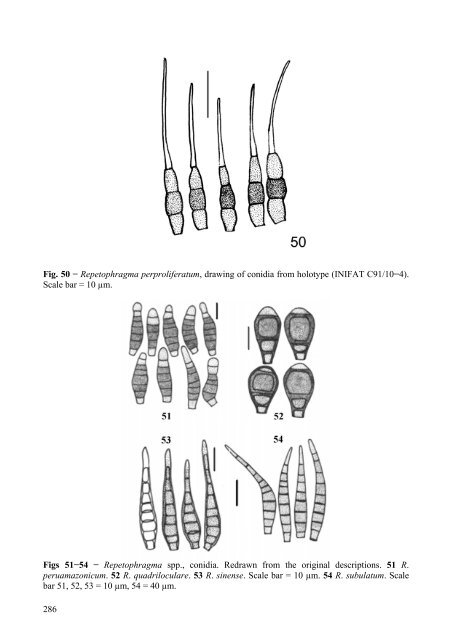 A new species and re-disposed taxa in Repetophragma - CBS