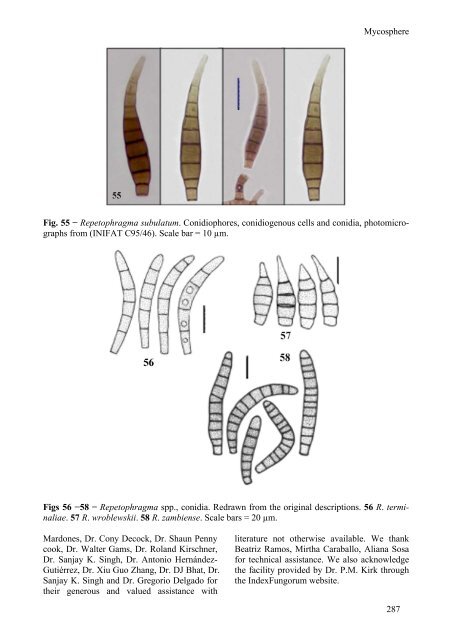 A new species and re-disposed taxa in Repetophragma - CBS