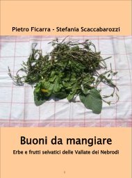 Buoni da mangiare. Erbe e frutti selvatici delle Vallate dei Nebrodi