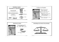 Substituts cutanés