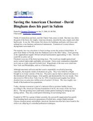 Saving the American Chestnut - David Bingham does his part in Salem