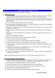 Instrucciones de llenado forma 100 - Comisión Nacional de ...
