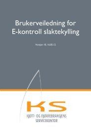 Brukerveiledning E-kontrollen 10.pdf