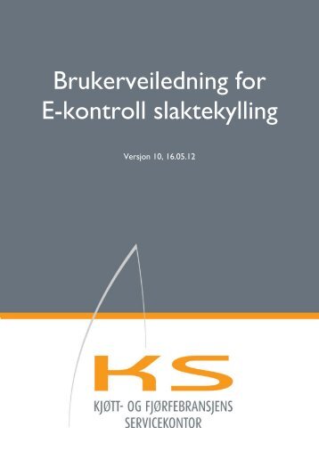 Brukerveiledning E-kontrollen 10.pdf