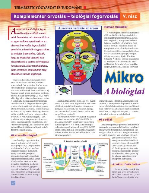 láb - kéz reflexológia - Mikrorendszerek 1. - BioDent