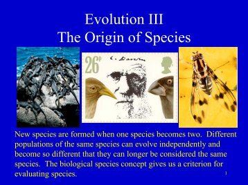 Origin of Species