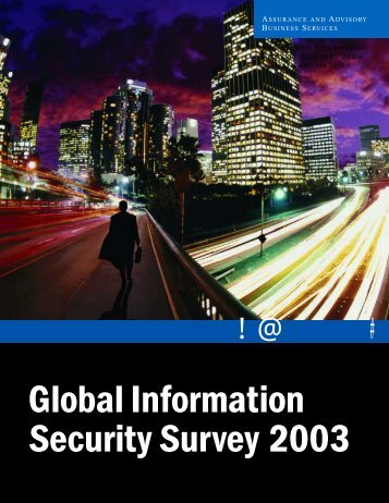 Global Information Security Survey 2003