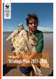 Strategic Plan 2011-2016 - wwf - Australia