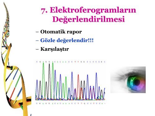 Zeynep Ceren Karahan