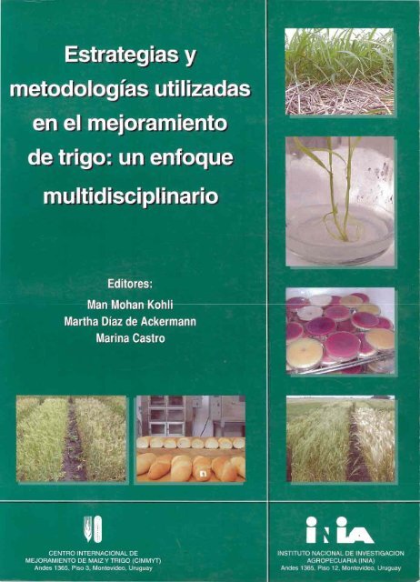 Estrategias y metodologÃ­as utilizadas en el mejoramiento de trigo