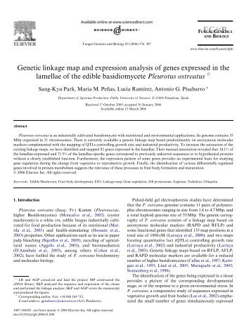 Genetic linkage map and expression analysis of genes expressed in ...