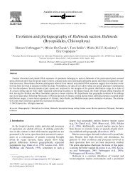 Evolution and phylogeography of Halimeda section Halimeda ...