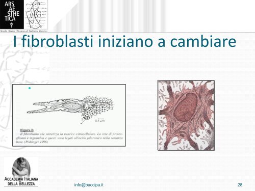 Microvibrazione compressiva