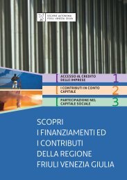 scopri i finanziamenti ed i contributi della regione friuli Venezia giulia