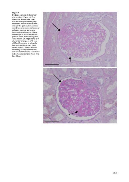 Organohalogen concentrations and a gross and histologic ...