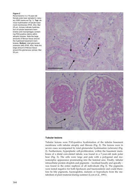 Organohalogen concentrations and a gross and histologic ...