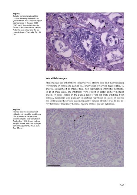 Organohalogen concentrations and a gross and histologic ...