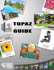 PDF, 4.7MB - Topaz Labs