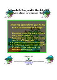 Agricultural Development Plan - Emnambithi Ladysmith Municipality