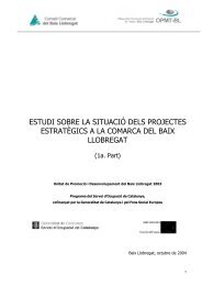 Descarregar - Consell Comarcal del Baix Llobregat