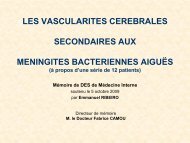 Les vascularites cÃ©rÃ©brales secondaires aux mÃ©ningites ...