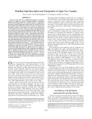 Modeling Light Interception and Transpiration of Apple Tree Canopies