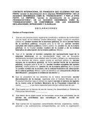 Formato de Contrato Internacional de Franquicia