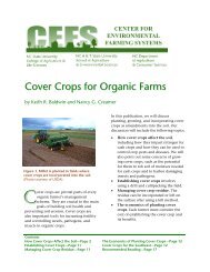 Cover Crops for Organic Farms